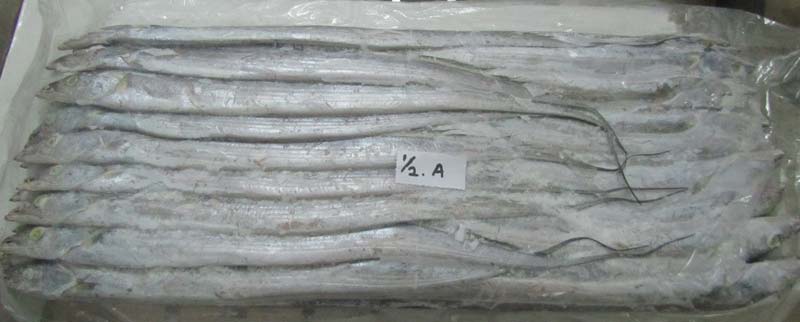 1/2 Frozen Ribbon Fish