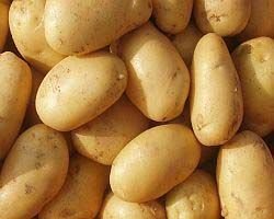 Fresh Potato