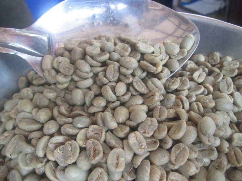Green Coffee Beans 02