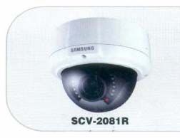Item Code : SCV·2081R