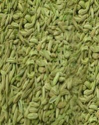 Fennel Seeds