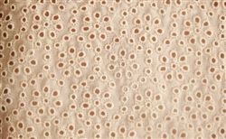 Hand Embroidered Fabric 02