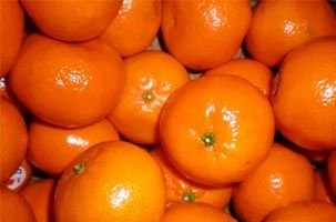 Mandarins (Citrus sinensis)
