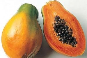 Papaya (Carica papaya)