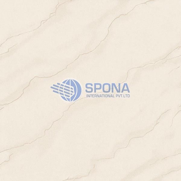 Calvinia Soluable Salt Vitrified Tile