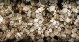 Smokey Quartz Slab -- Translucent