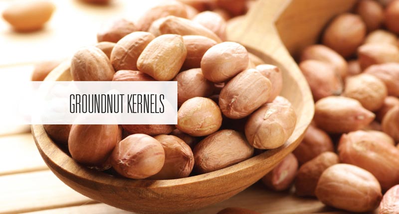 Groundnut Kernels Bold