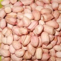 Peanut Seeds