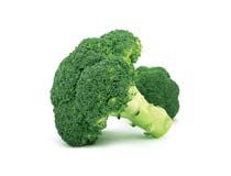 Fresh Broccoli