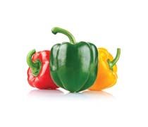 Fresh Capsicum