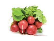 Fresh Radish