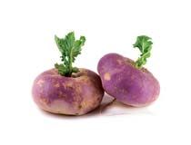 Fresh Turnip