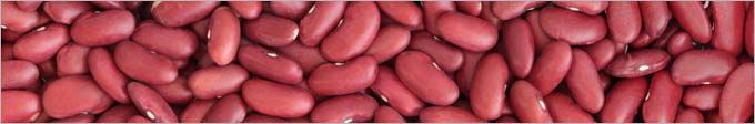 Red Kidney Bean
