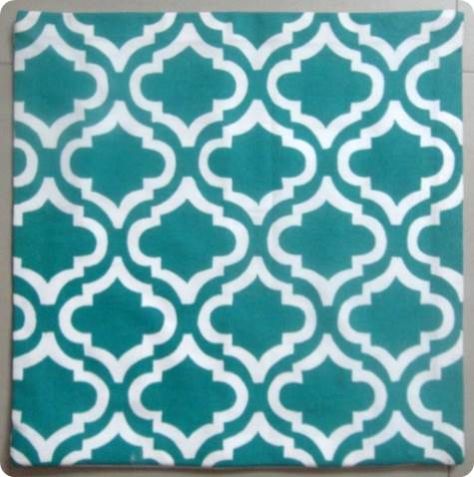 Designer Cushions 19