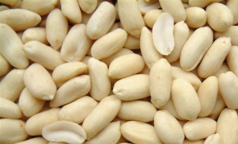 Blanched Peanut 03