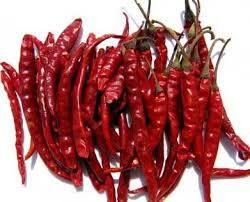 Dried Red Chilli 02