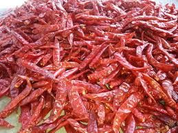Dried Red Chilli 03