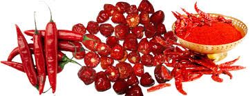 Dried Red Chilli 13