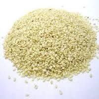 Sesame Seeds 04
