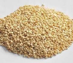 Sesame Seeds 07