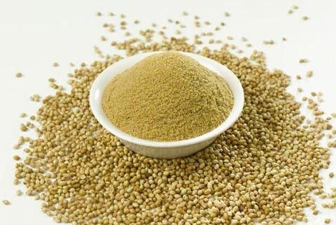 Coriander