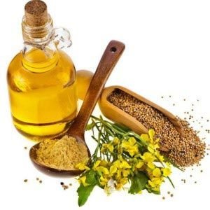 Mustard