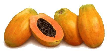 Papaya
