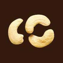 Scorched Wholes SW - 180