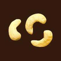 Scorched Wholes SW - 240