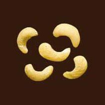 Scorched Wholes SW - 500