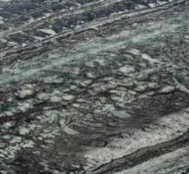 Ebony Green Marble Tiles