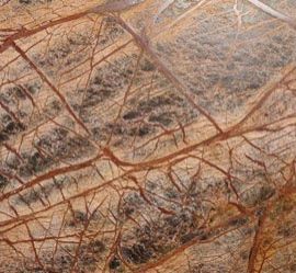 Rainforest Brown Marble Tiles