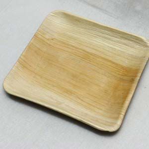 10 Inch Square Leaf Plates