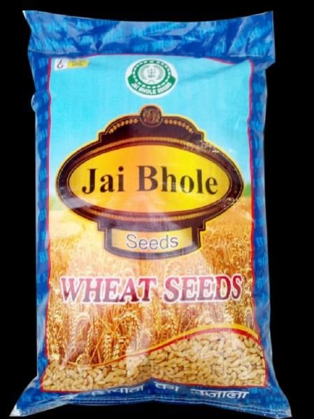 PP Woven Printed Laminated Bag 02