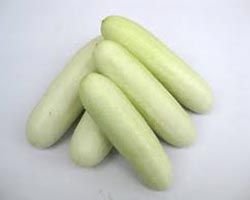 Green Wonder Hybrid Cucumber Seeds