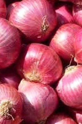 Lal Medium Onion Seeds