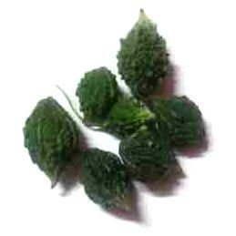 Leena Bitter Gourd Seeds