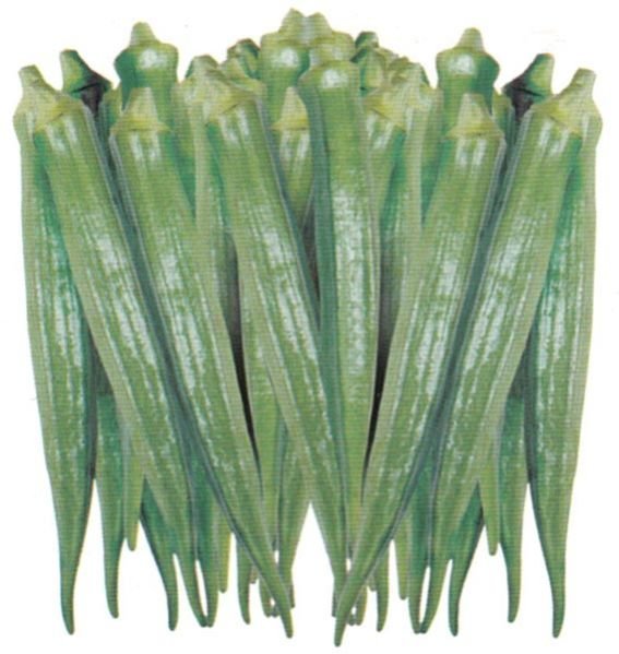 Meena Hybrid Okra Seeds