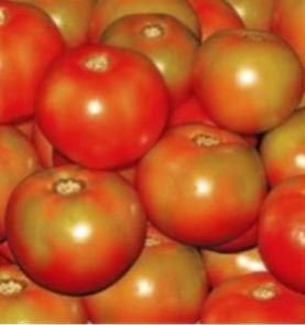 Roopa Hybrid Tomato Seeds
