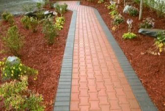 Image 05