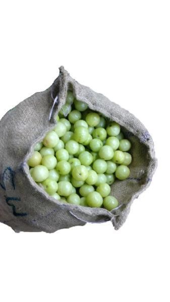 Fresh Gooseberry 01