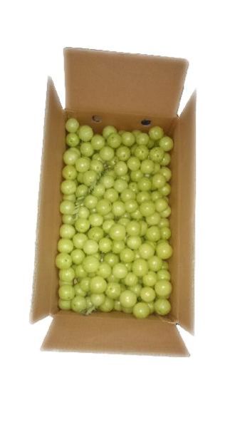 Fresh Gooseberry 02