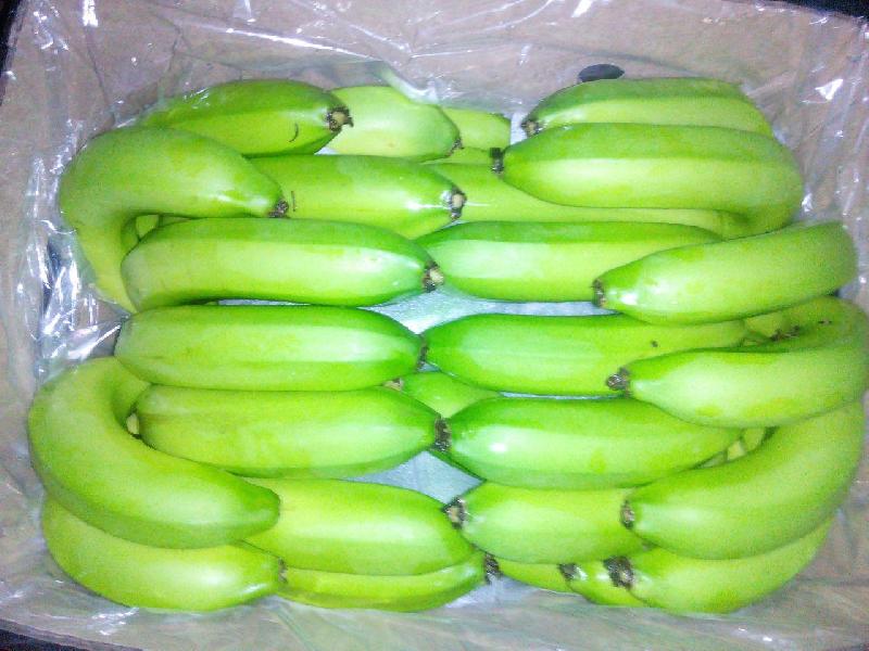 Fresh Green Banana 02