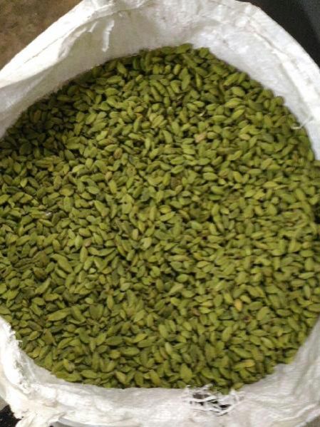 Green Cardamom 02