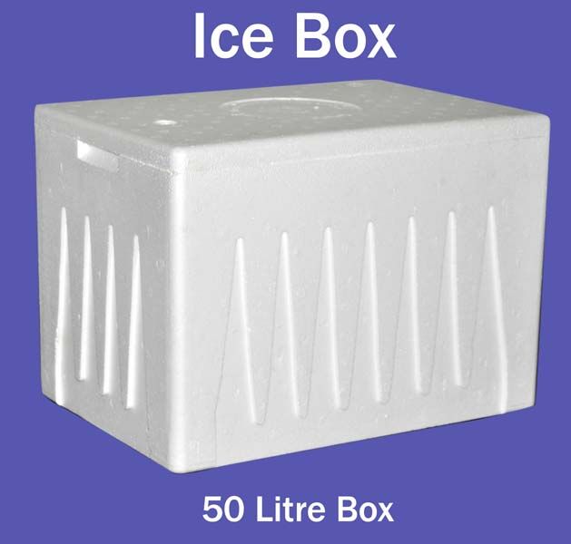 Ice Box 02