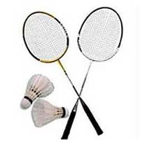 Badminton Racket & Cock