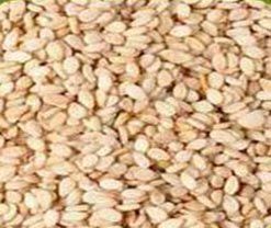 Natural Sesame Seed