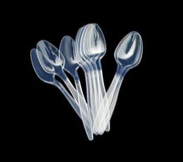 Disposable Plastic Spoon 02