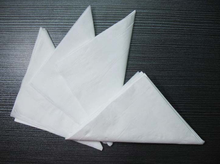 Paper Napkin 02