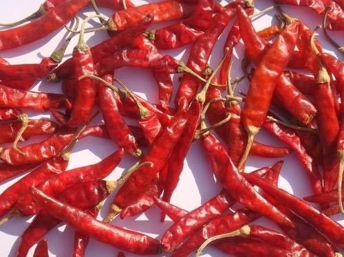 MP Teja Dry Red Chilli with Stem
